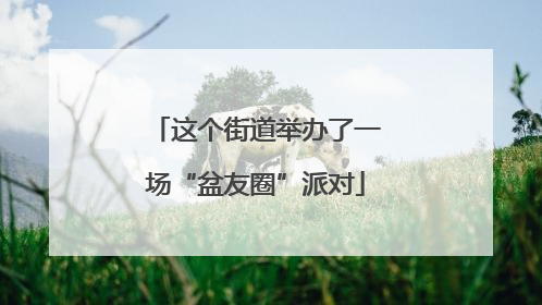 这个街道举办了一场“盆友圈”派对
