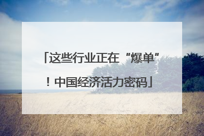 这些行业正在“爆单”！中国经济活力密码