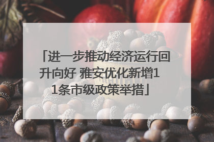 进一步推动经济运行回升向好 雅安优化新增11条市级政策举措