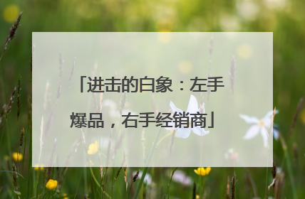 进击的白象：左手爆品，右手经销商