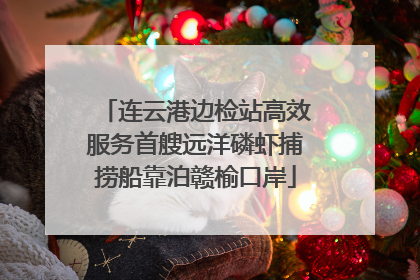 连云港边检站高效服务首艘远洋磷虾捕捞船靠泊赣榆口岸