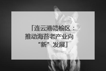 连云港赣榆区：推动海苔老产业向“新”发展