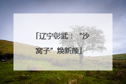 辽宁彰武：“沙窝子”焕新颜