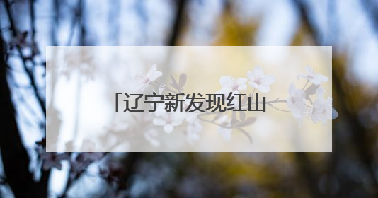 辽宁新发现红山文化遗址44处