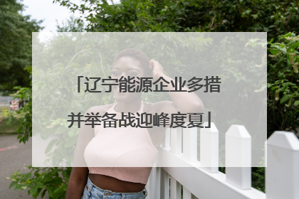 辽宁能源企业多措并举备战迎峰度夏