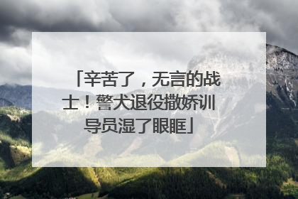 辛苦了，无言的战士！警犬退役撒娇训导员湿了眼眶