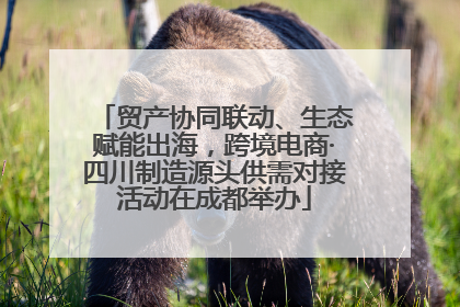 贸产协同联动、生态赋能出海，跨境电商·四川制造源头供需对接活动在成都举办