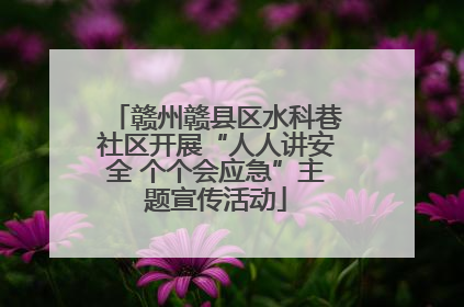 赣州赣县区水科巷社区开展“人人讲安全 个个会应急”主题宣传活动