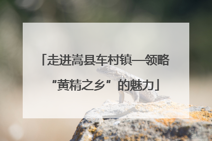 走进嵩县车村镇—领略“黄精之乡”的魅力
