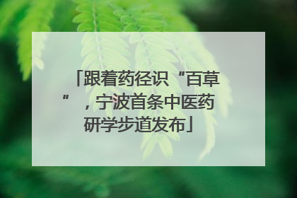 跟着药径识“百草”，宁波首条中医药研学步道发布