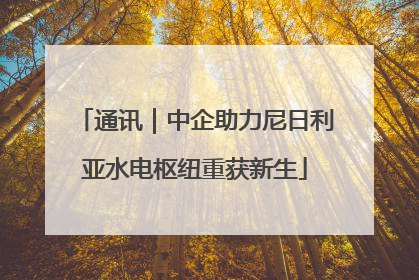 通讯｜中企助力尼日利亚水电枢纽重获新生