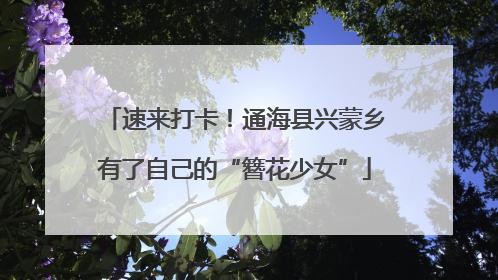速来打卡！通海县兴蒙乡有了自己的“簪花少女”