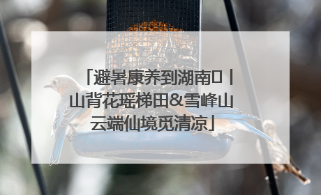 避暑康养到湖南⑫丨山背花瑶梯田&雪峰山 云端仙境觅清凉