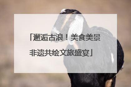 邂逅古浪！美食美景非遗共绘文旅盛宴