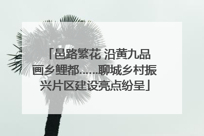邑路繁花 沿黄九品 画乡鲤都……聊城乡村振兴片区建设亮点纷呈