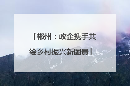 郴州：政企携手共绘乡村振兴新图景