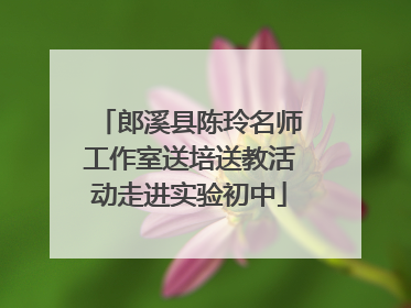 郎溪县陈玲名师工作室送培送教活动走进实验初中