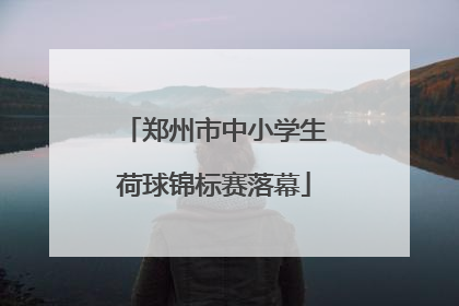 郑州市中小学生荷球锦标赛落幕