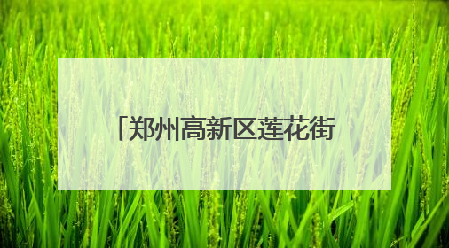 郑州高新区莲花街小学党支部为党员过集体政治生日