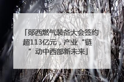 郧西燃气装备大会签约超113亿元，产业“链”动中西部新未来