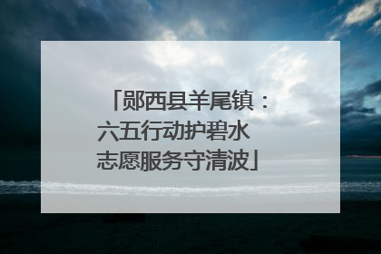 郧西县羊尾镇：六五行动护碧水 志愿服务守清波