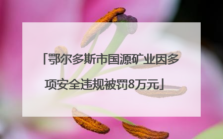 鄂尔多斯市国源矿业因多项安全违规被罚8万元
