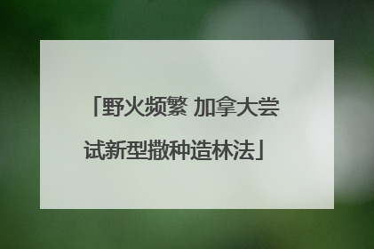 野火频繁 加拿大尝试新型撒种造林法