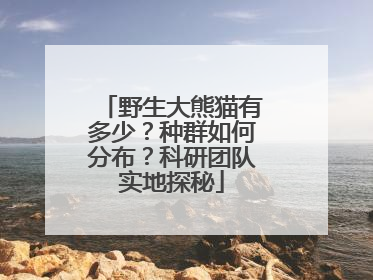 野生大熊猫有多少？种群如何分布？科研团队实地探秘