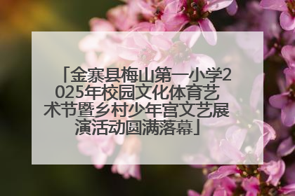 金寨县梅山第一小学2025年校园文化体育艺术节暨乡村少年宫文艺展演活动圆满落幕