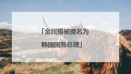 金民锡被提名为韩国国务总理