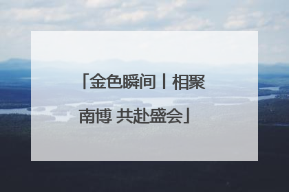 金色瞬间丨相聚南博 共赴盛会