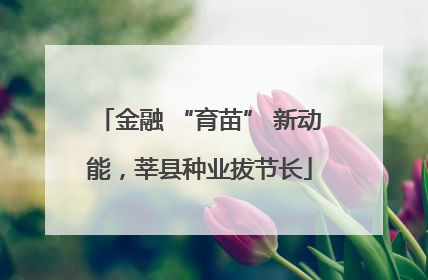 金融 “育苗” 新动能，莘县种业拔节长