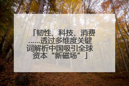 韧性、科技、消费……透过多维度关键词解析中国吸引全球资本“新磁场”