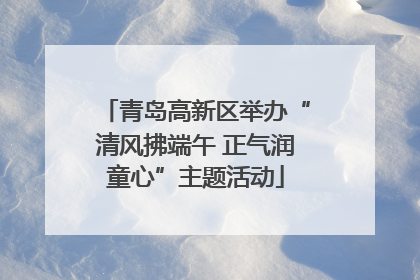 青岛高新区举办“清风拂端午 正气润童心”主题活动