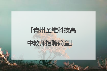 青州圣维科技高中教师招聘简章