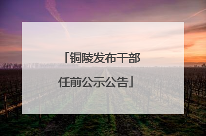 铜陵发布干部任前公示公告