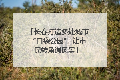 长春打造多处城市“口袋公园” 让市民转角遇风景