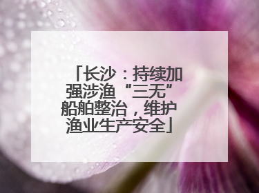 长沙：持续加强涉渔“三无”船舶整治，维护渔业生产安全
