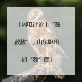 闪电评论丨“数数数”，山东跑出加“数”度