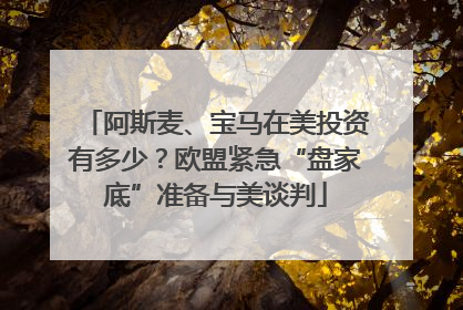 阿斯麦、宝马在美投资有多少？欧盟紧急“盘家底”准备与美谈判