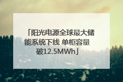 阳光电源全球最大储能系统下线 单柜容量破12.5MWh