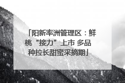 阳新率洲管理区：鲜桃“接力”上市 多品种拉长甜蜜采摘期