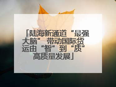 陆海新通道“最强大脑” 带动国际货运由“智”到“质”高质量发展