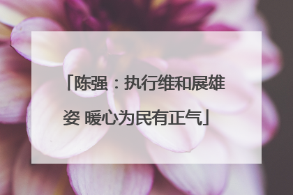 陈强：执行维和展雄姿 暖心为民有正气
