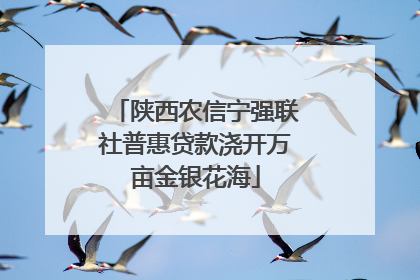 陕西农信宁强联社普惠贷款浇开万亩金银花海
