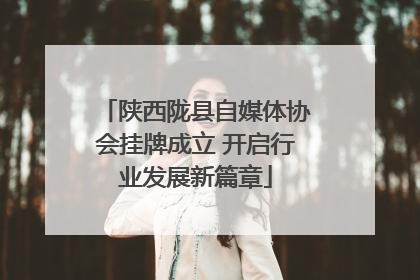 陕西陇县自媒体协会挂牌成立 开启行业发展新篇章