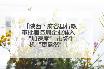 陕西：府谷县行政审批服务局企业准入“加速度” 市场生机“更盎然”