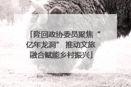 隆回政协委员聚焦“亿年龙洞” 推动文旅融合赋能乡村振兴
