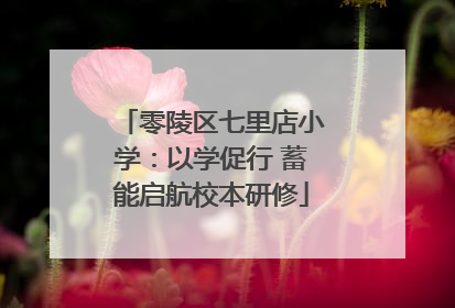 零陵区七里店小学：以学促行 蓄能启航校本研修