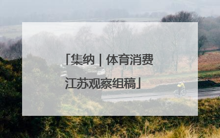集纳｜体育消费江苏观察组稿